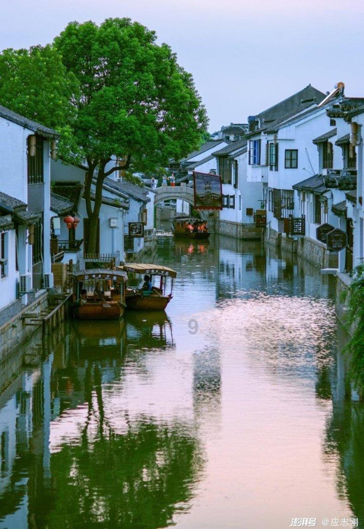 一斤西红柿大约有几个游戏画面